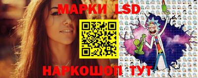 индика Можайск