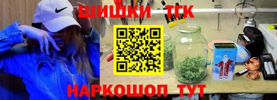 индика Можайск