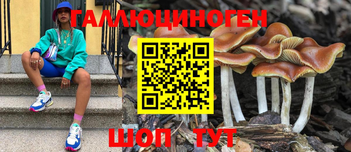 Псилоцибиновые грибы Magic Shrooms  Псилоцибиновые грибы ЛСД  где продают   Вход с VPN  Грозный 